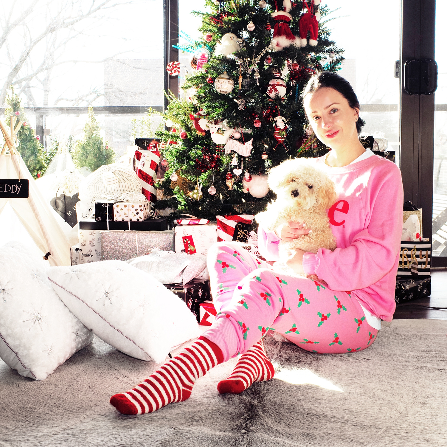 Wildfox hotsell christmas pajamas